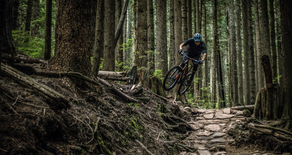 Video: Thomas Vanderham Hits Wild Lines on BC Flow Trails in 'Blasting Blues' - OneUp Components International